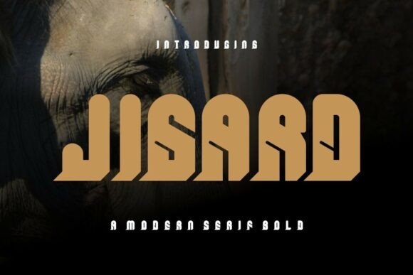 Jigard – A Bold Display Font for Impactful Campaigns